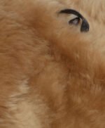 Men's Sheepskin Jacket Ginger Miami