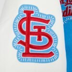 MLB St. Louis Cardinals DIY Pick Stitch Men's Rib Wool Varsity Jacket