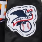 MLB Houston Astros DIY Pick Stitch Men's Rib Satin Jacket