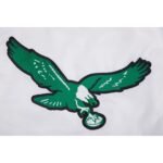 NFL Philadelphia Eagles Retro Classic Men's Rib Satin Jacket White